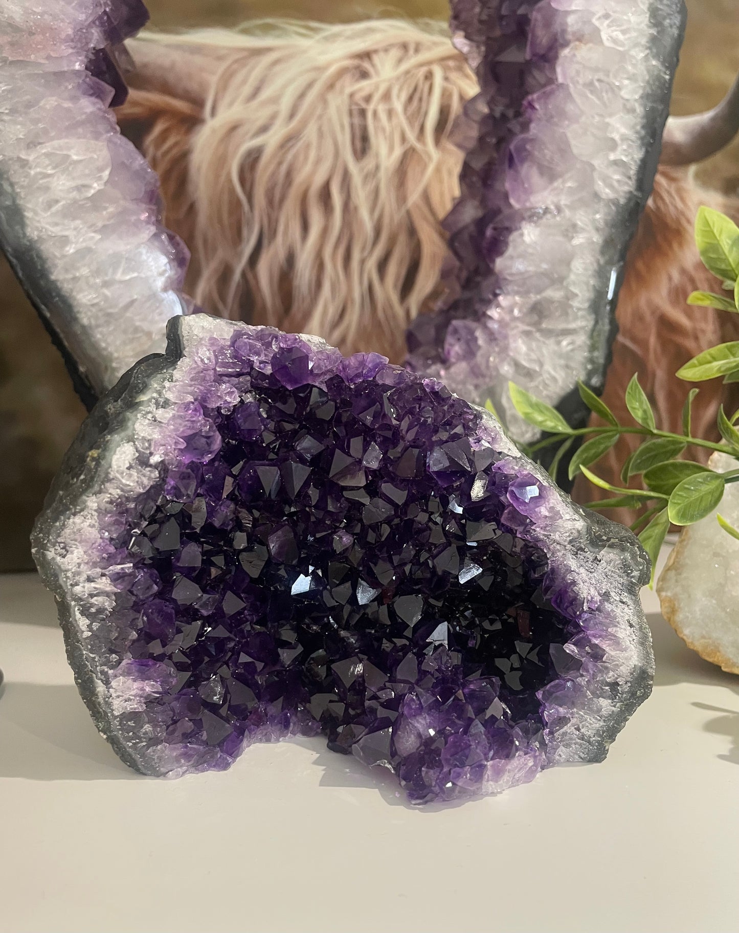 Amethyst Cluster, Amethyst Bed, Amethyst, Amethyst Statement Piece, Amethyst Crystal, Crystals for Calm, Amethyst Quartz, crystals for Home, Crystals for Transformation